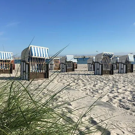 Seeschwalbe Whg 11 Albatros Boltenhagen (Ostseebad)